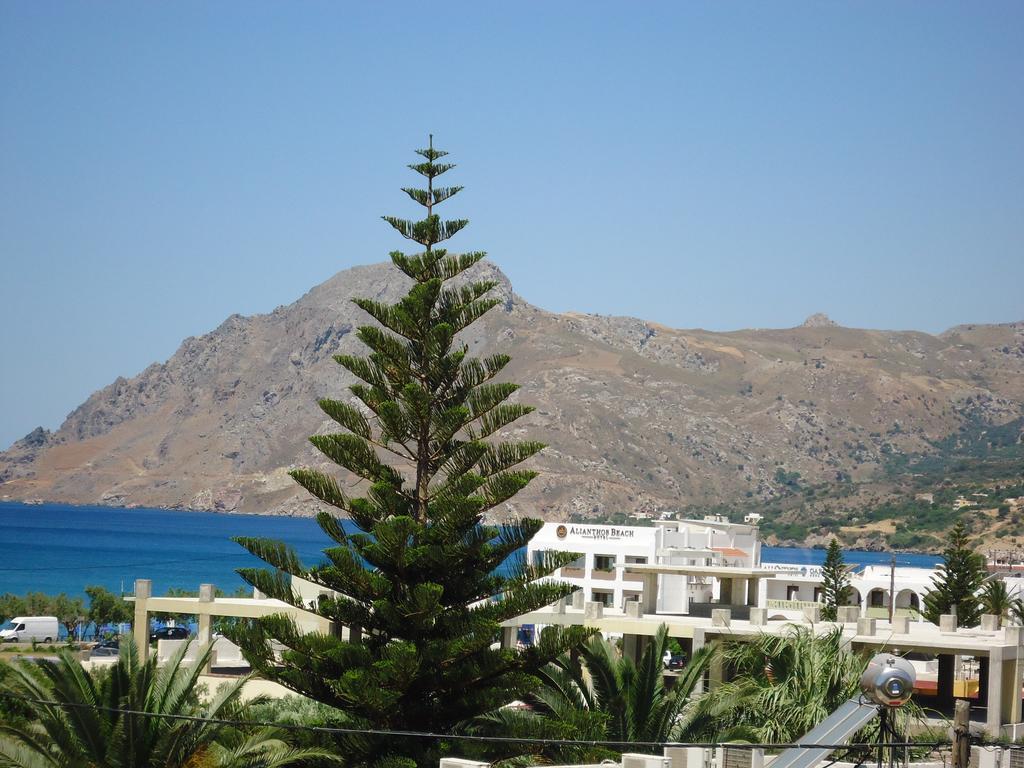 Anemoni Studios Plakias Buitenkant foto